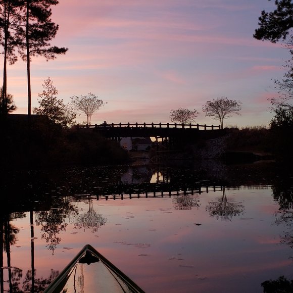 Hi, I'm Tiff: - Picture 13 of 13